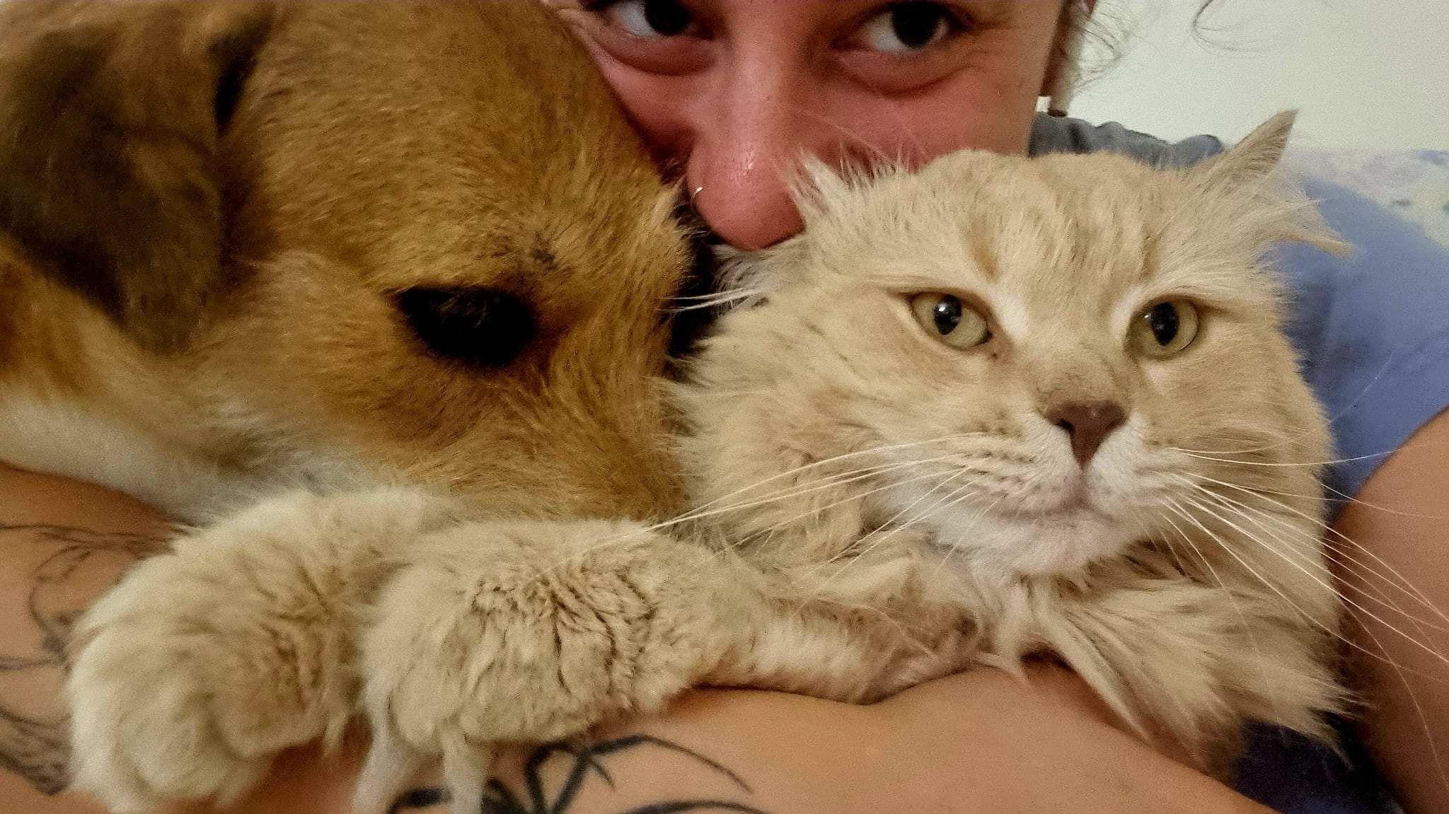 Naiara con sus amigos peludos